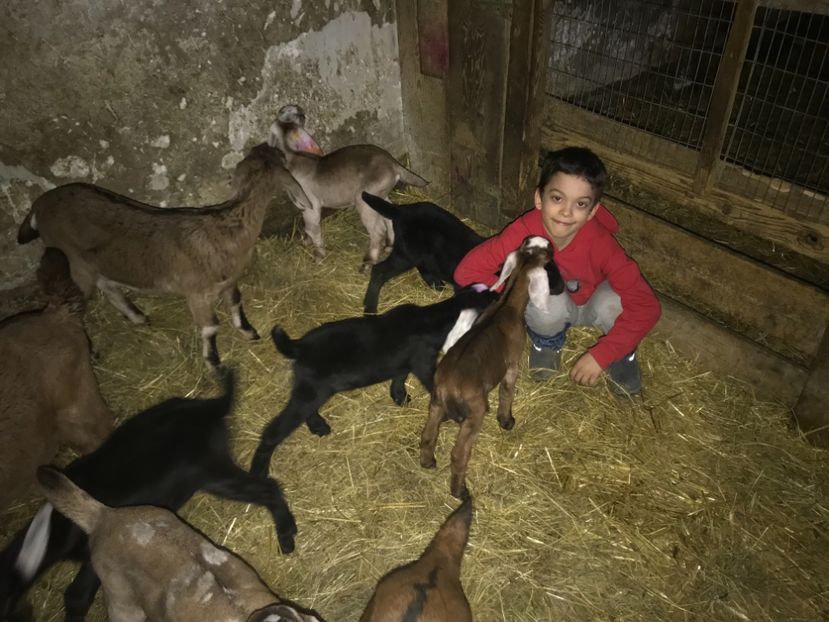 17E664A9-95DA-4E73-BFEF-7CF7A73B3ED4 - Iezi anglo 2018