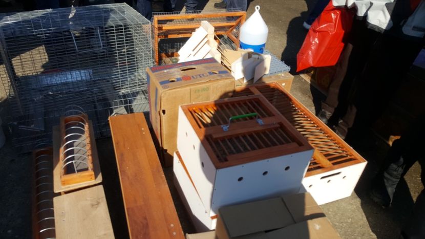  - Targ orastie martie 2018