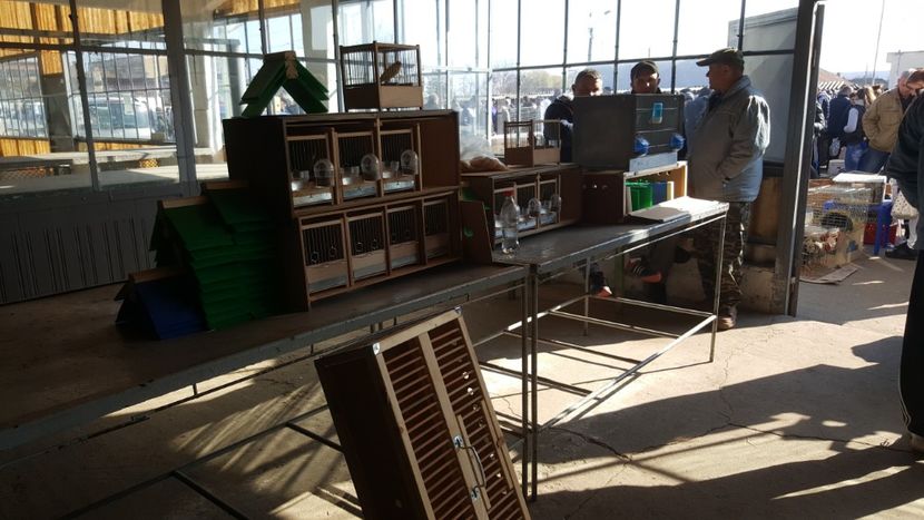  - Targ orastie martie 2018