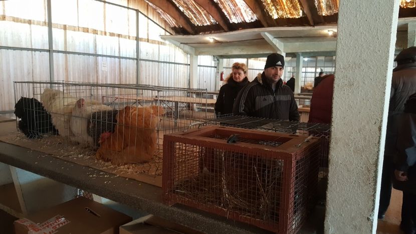  - Targ orastie martie 2018