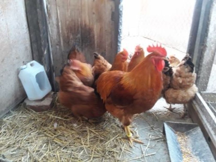 temp0 - New hampshire