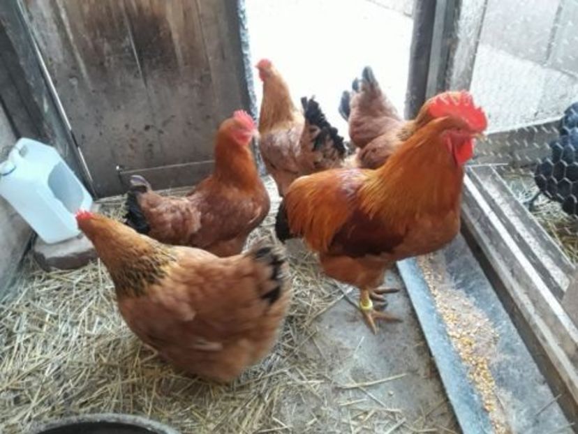 temp2 - New hampshire