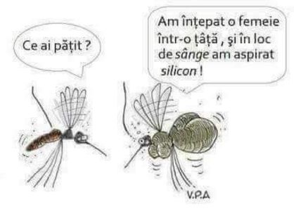  - Poze 2