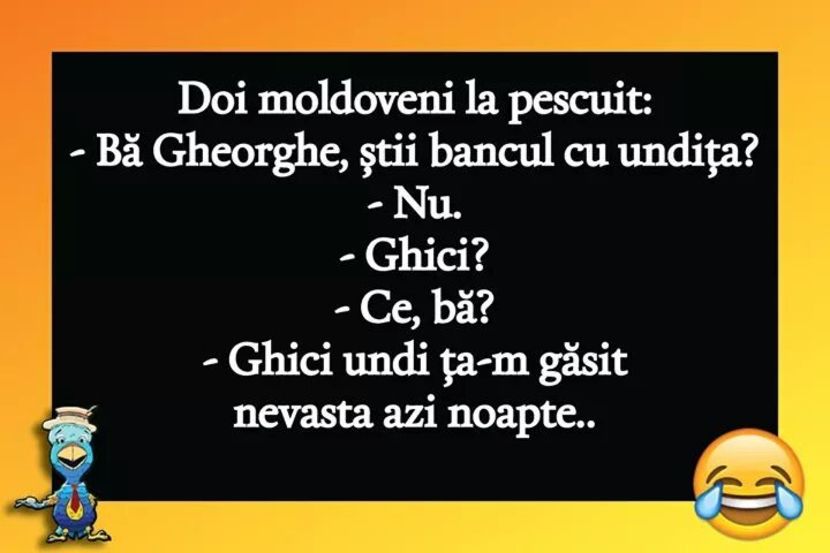  - Poze 2