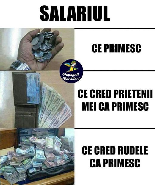  - Poze 2