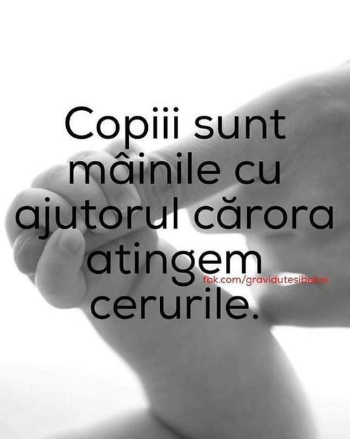  - Poze 2
