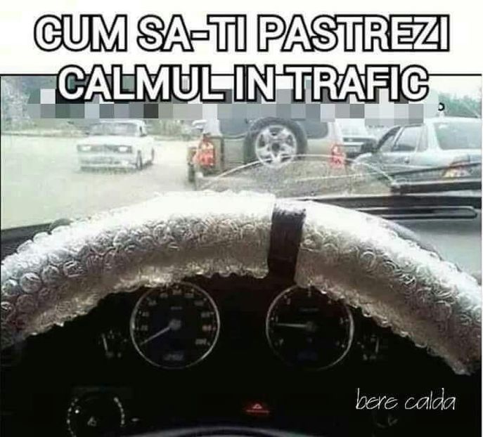  - Poze 2