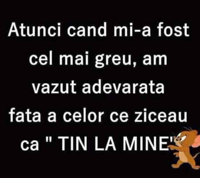  - Poze 2