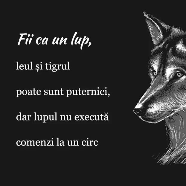 - Poze 2