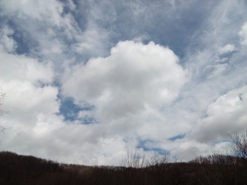  - AAAAA_PRIMAVARA_VARA 2018