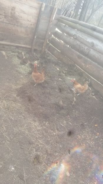  - F Gaini de tara si kabir