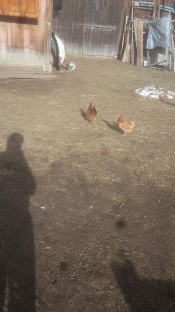  - F Gaini de tara si kabir