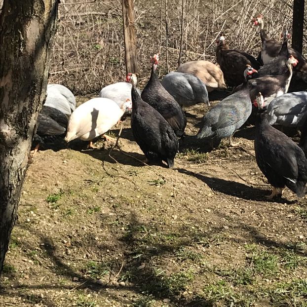 98BFD471-B6E7-4AEF-81F5-C5BCF3BE8FB1 - bibilici