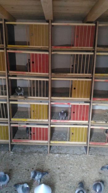 P_20180331_183007 - Compartimente matca