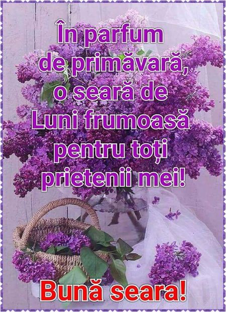  - Poze 2