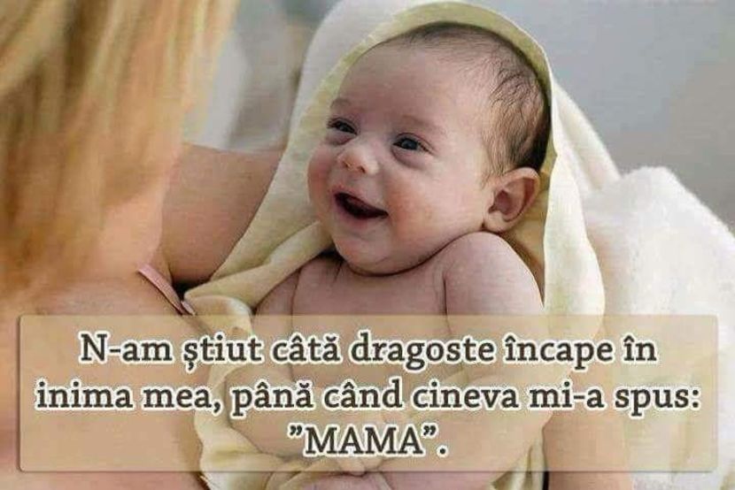  - Poze 2