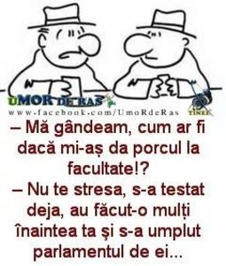  - Poze 2
