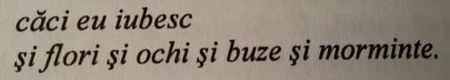  - Poze 2