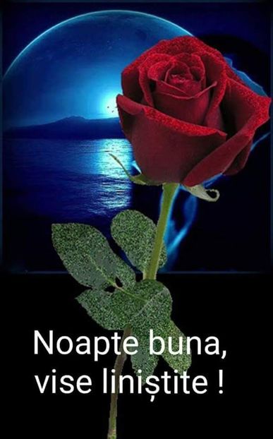 - Poze 2