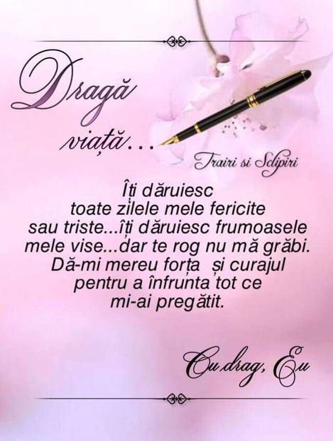  - Poze 2