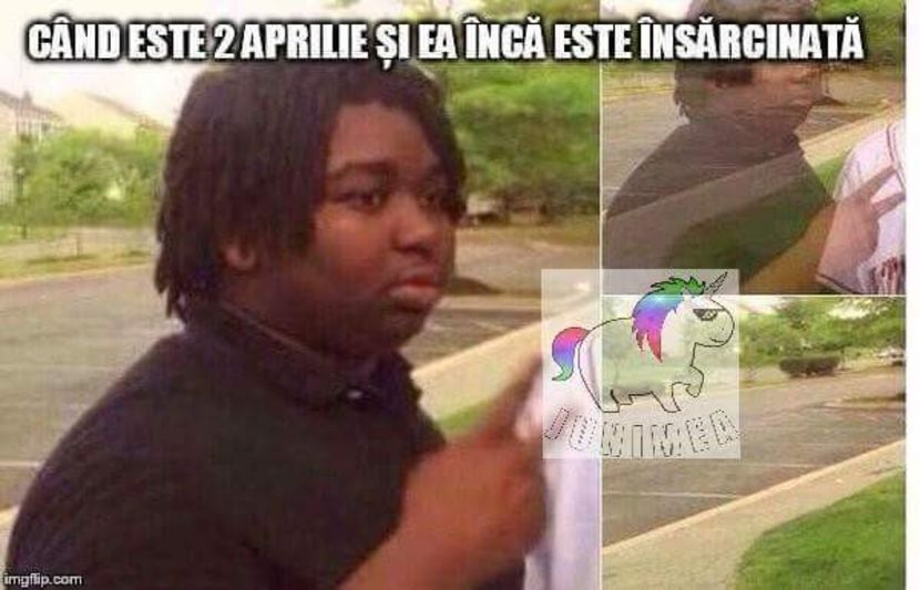  - Poze 2