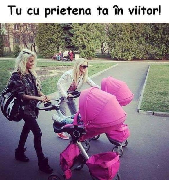  - Poze 2