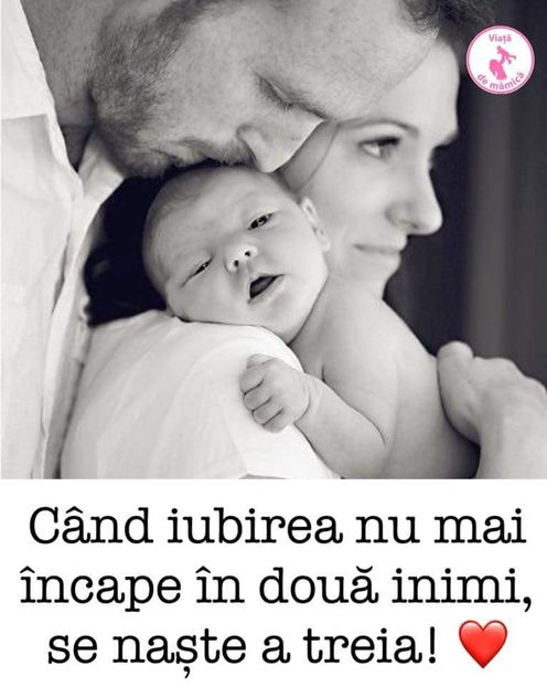  - Poze 2