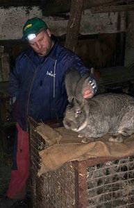  - 04 - Sandor Brugger