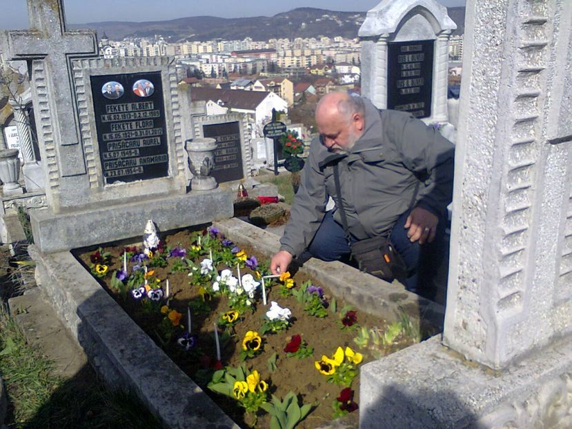 Fotografie3701 - 2018 Aranjat mormântul familial