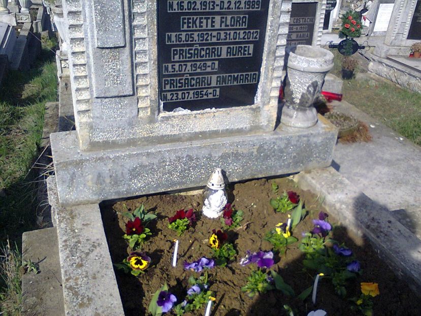 Fotografie3703 - 2018 Aranjat mormântul familial