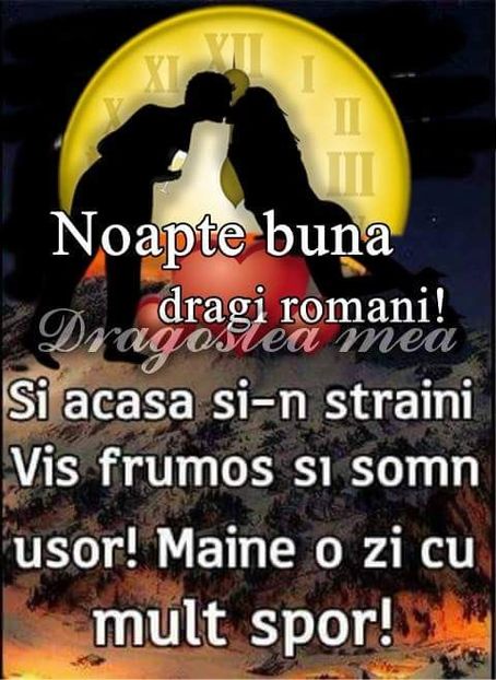  - Poze 2