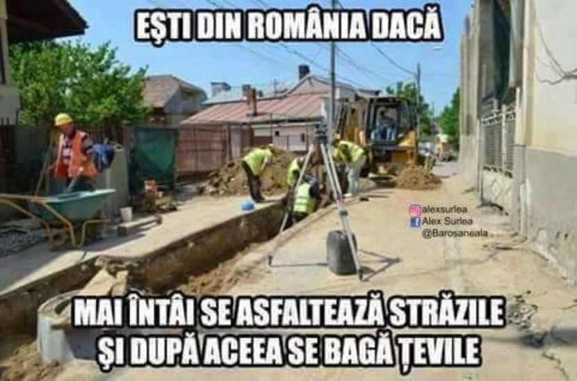  - Poze 2