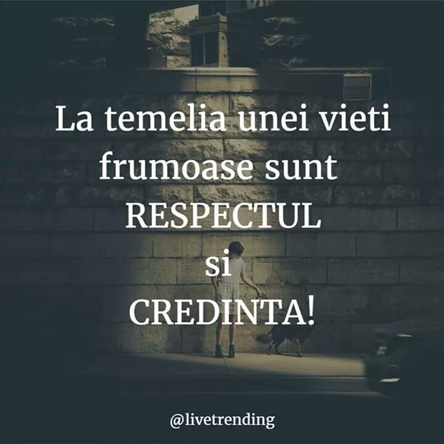  - Poze 2