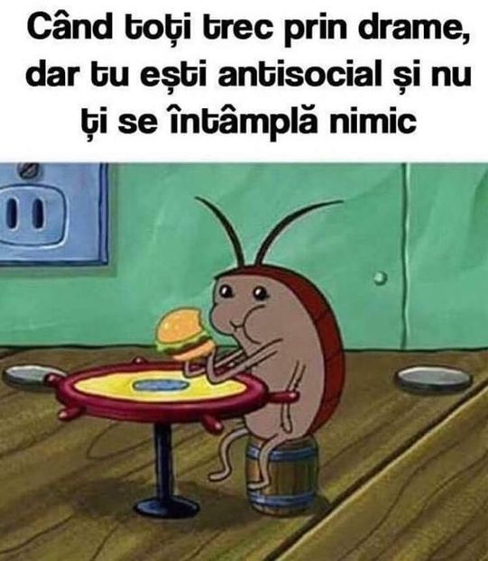  - Poze 2