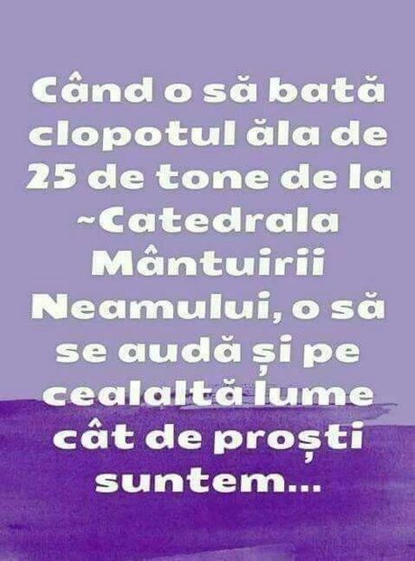  - Poze 2