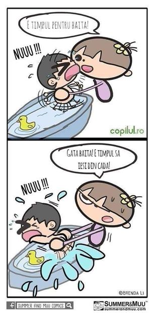  - Poze 2