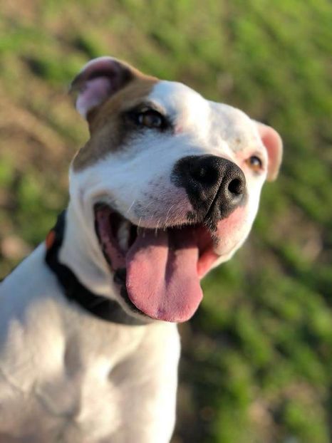  - x_Balansoarul episodul17_x