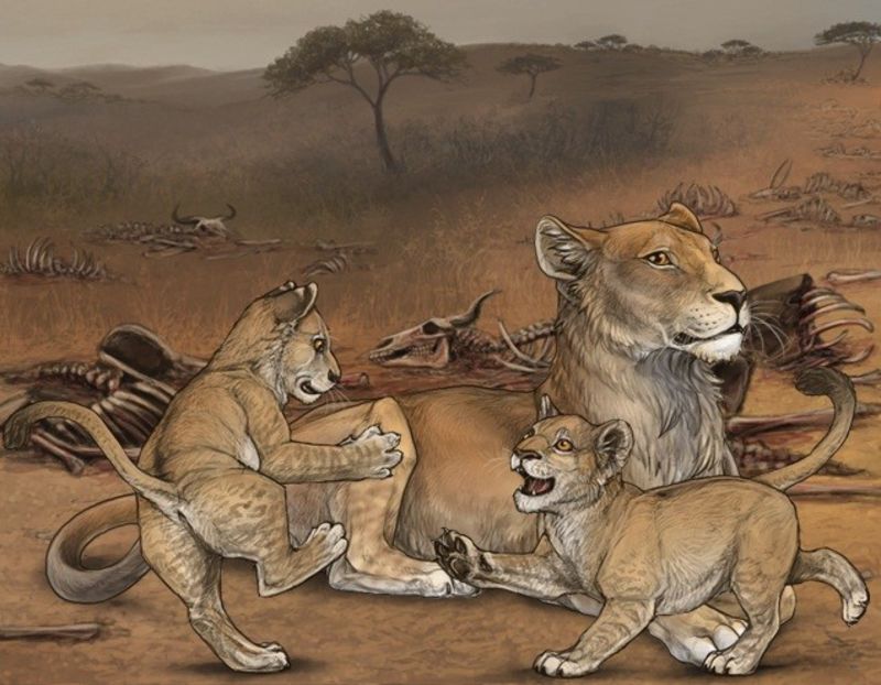 lioden__proud_family_by_mayuuhi-d7bgbny - Lioden