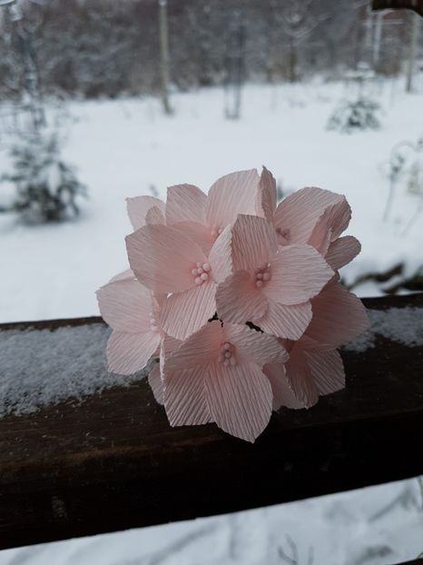 received_1671501189609045 - Flori de hartie