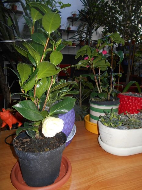  - Green office