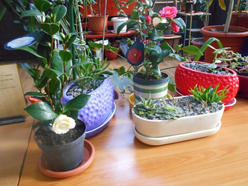  - Green office
