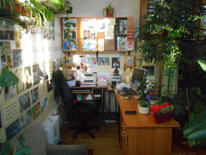  - Green office