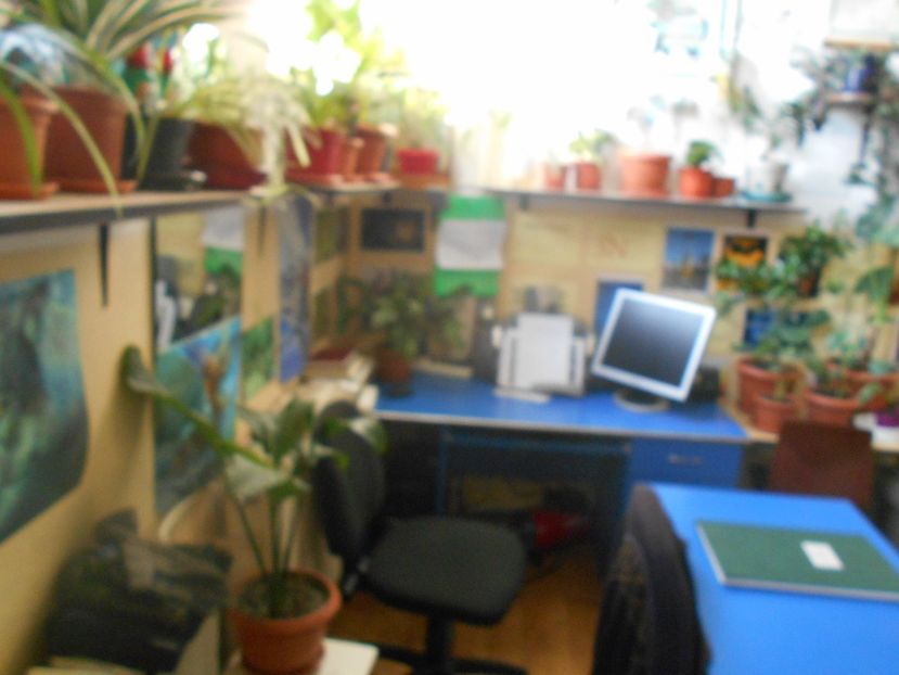  - Green office