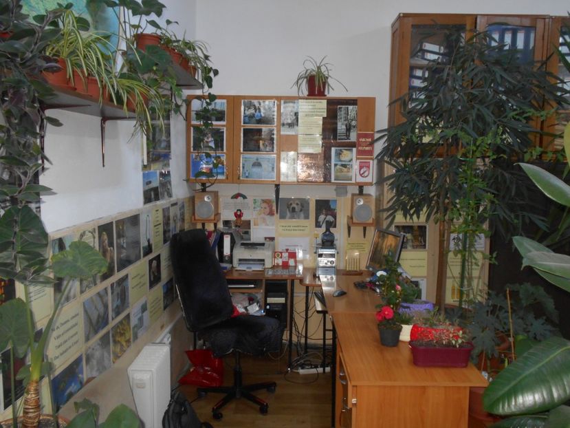  - Green office