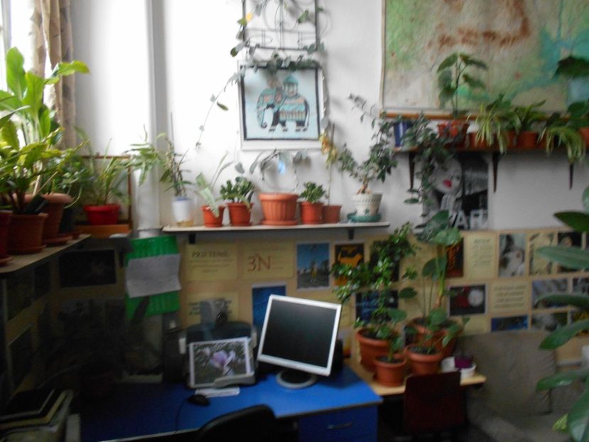  - Green office