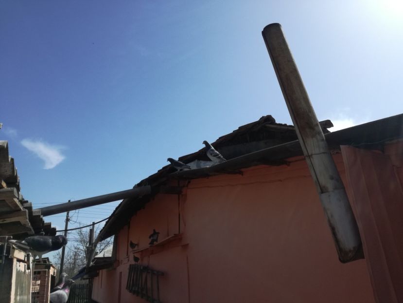  - 2018-04-04 Reproductie