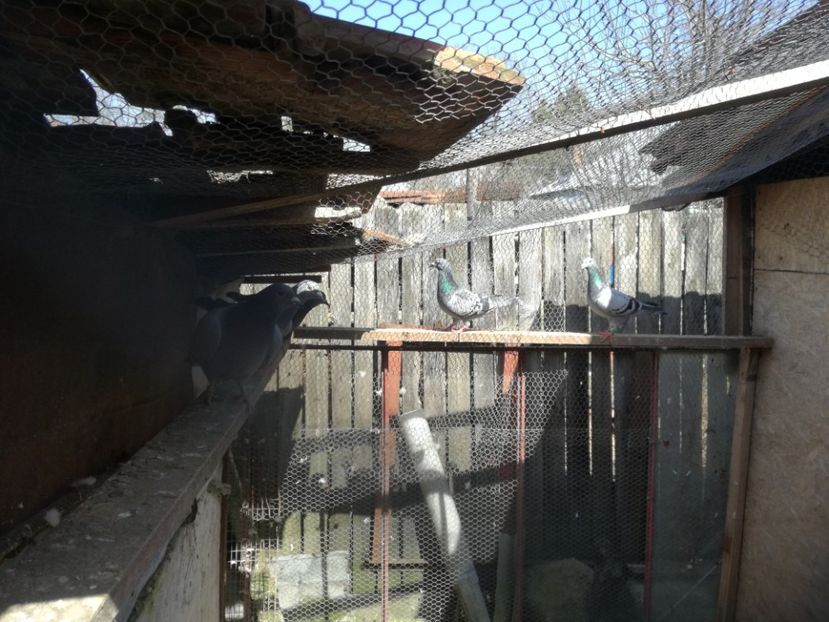  - 2018-04-04 Reproductie