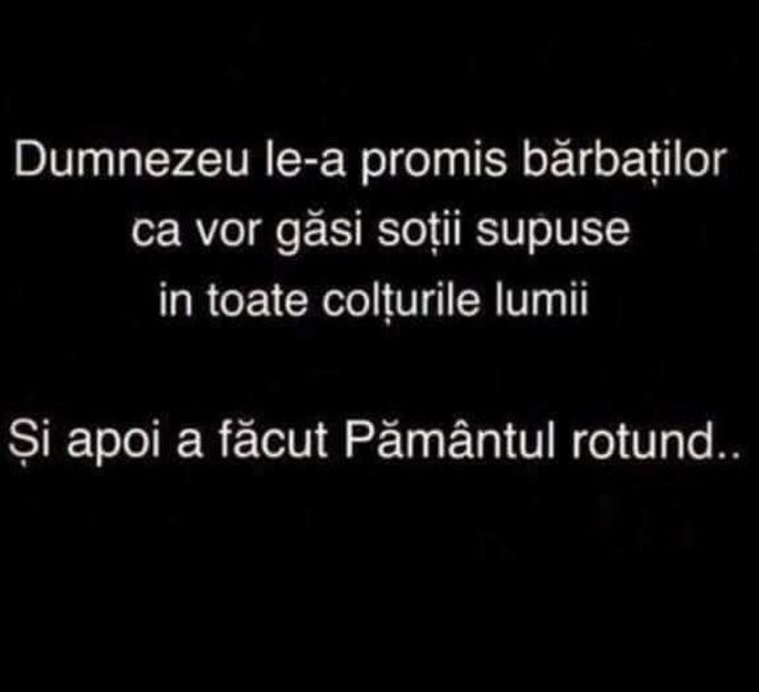  - Poze 2