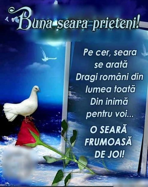  - Poze 2