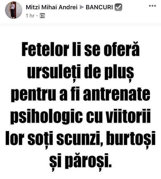  - Poze 2